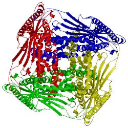 Image of CATH 5wj5