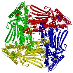 Image of CATH 5wj9
