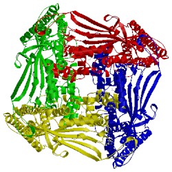 Image of CATH 5wj9