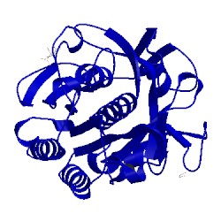Image of CATH 5wjg