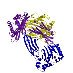 Image of CATH 5wjl