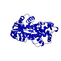 Image of CATH 5wk9