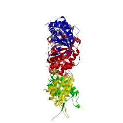 Image of CATH 5wmf