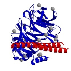 Image of CATH 5wp3