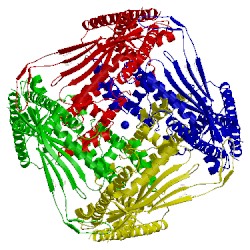 Image of CATH 5wpv