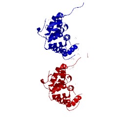 Image of CATH 5wqt