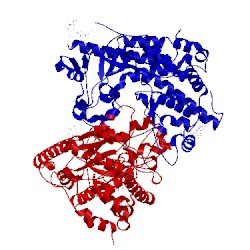 Image of CATH 5wrr