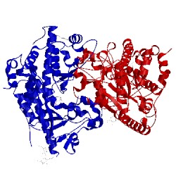 Image of CATH 5wrs