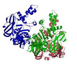 Image of CATH 5wsn