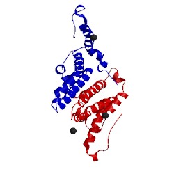 Image of CATH 5wtw