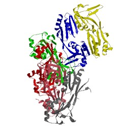 Image of CATH 5x0n