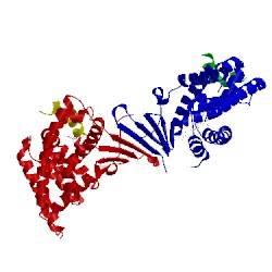 Image of CATH 5x0r