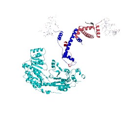 Image of CATH 5x0y