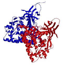 Image of CATH 5x1c