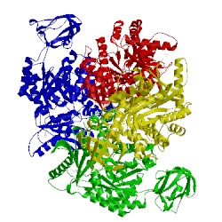 Image of CATH 5x1v
