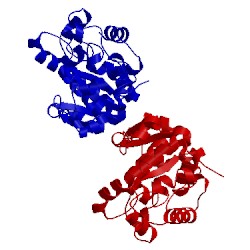 Image of CATH 5x3h