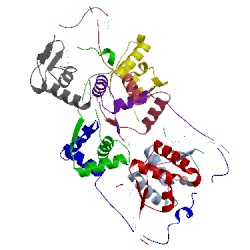 Image of CATH 5x3t