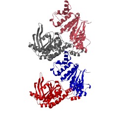 Image of CATH 5x3x