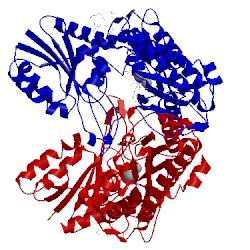 Image of CATH 5x49