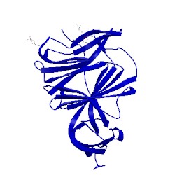 Image of CATH 5x4s