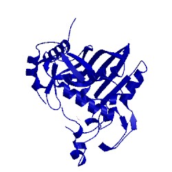 Image of CATH 5x4w