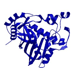 Image of CATH 5x4y