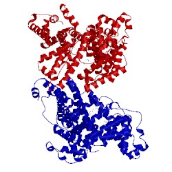 Image of CATH 5x52