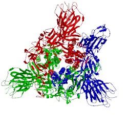 Image of CATH 5x5b