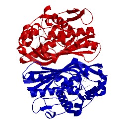Image of CATH 5x67