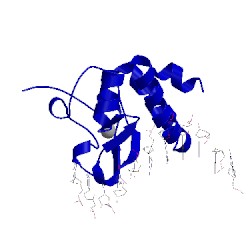 Image of CATH 5x6h