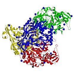 Image of CATH 5x8f