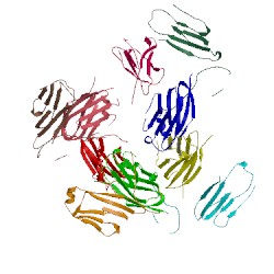 Image of CATH 5x8l