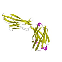 Image of CATH 5x8lH