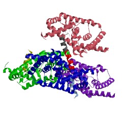 Image of CATH 5x8x