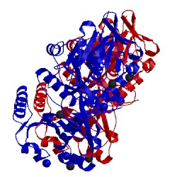 Image of CATH 5xao