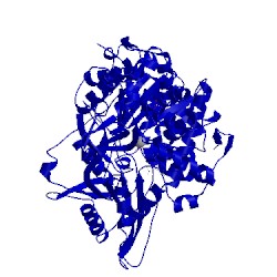 Image of CATH 5xdr