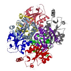 Image of CATH 5xf2