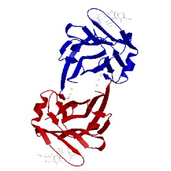 Image of CATH 5xfd