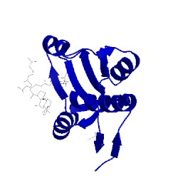 Image of CATH 5xga