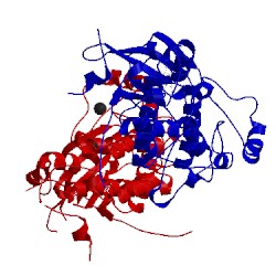 Image of CATH 5xgn