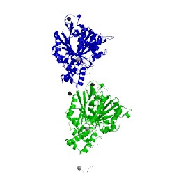 Image of CATH 5xi5