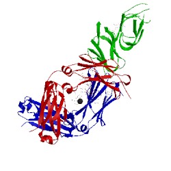 Image of CATH 5xje