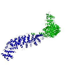 Image of CATH 5xjg
