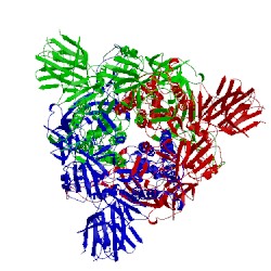 Image of CATH 5xlr