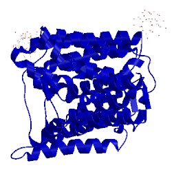 Image of CATH 5xls