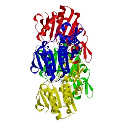 Image of CATH 5xlx