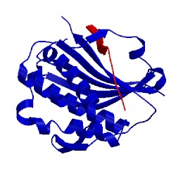 Image of CATH 5xpt