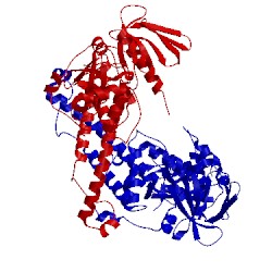 Image of CATH 5xpz