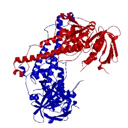 Image of CATH 5xq1