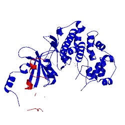 Image of CATH 5xqx